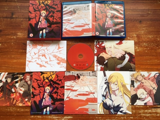 Contents of the Collector’s Edition: Nice cardboard box, some art cards, informative book, single disc.